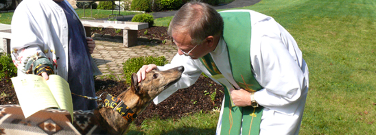 blessing of animals