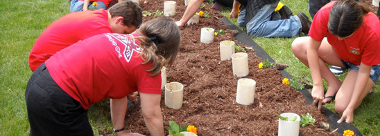 gardening
