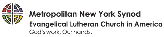 MNYS logo