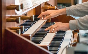 organ2