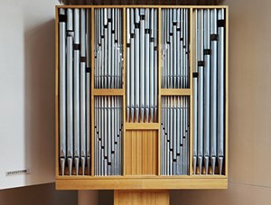 organ_news