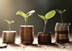 FINANCIAL_WELLNESS
