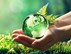 earth_hands_news