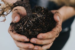 earth_day