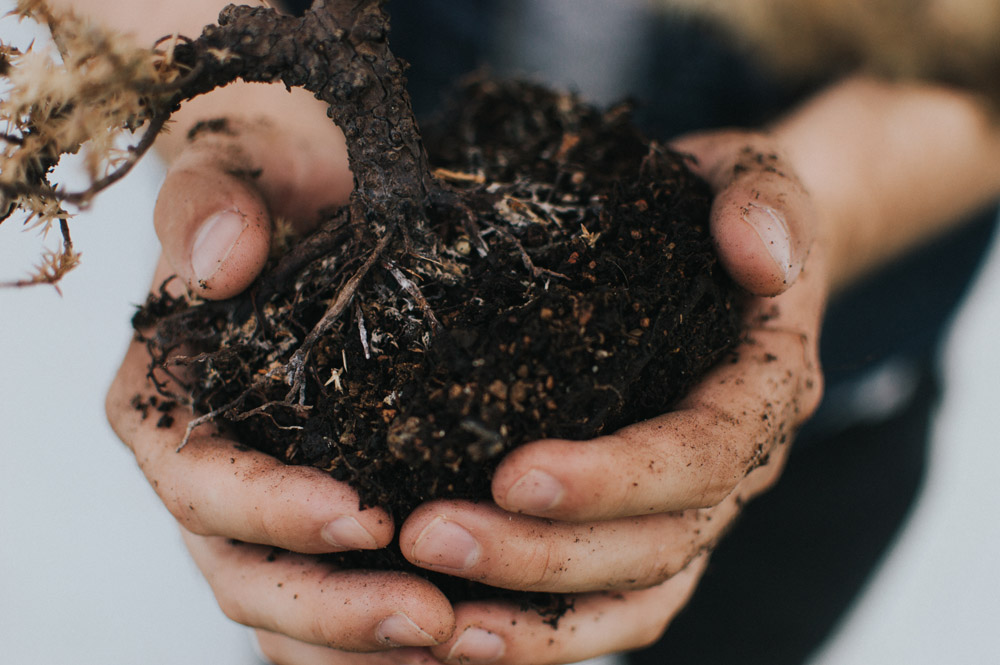 earth_day