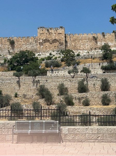 Picture7