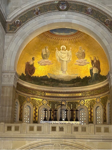 Picture8