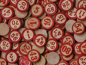 bingo_news