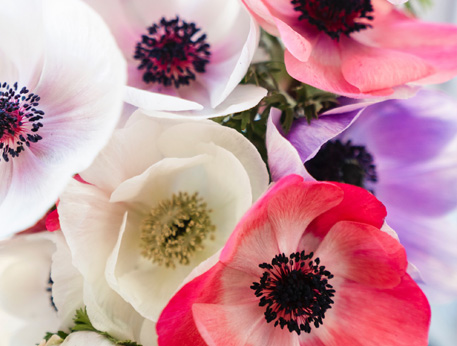 mothers_day_flowers_news