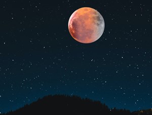 longest_night_news