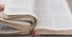Bible